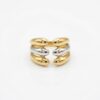 ring01