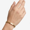 fet3
